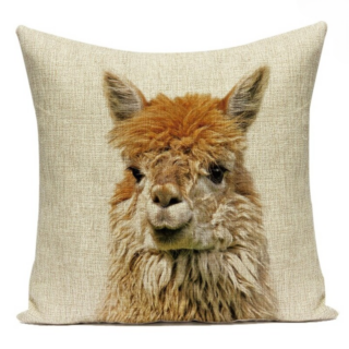 Housse de Coussin Alpaga